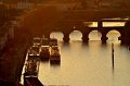 Buga_Koblenz   117